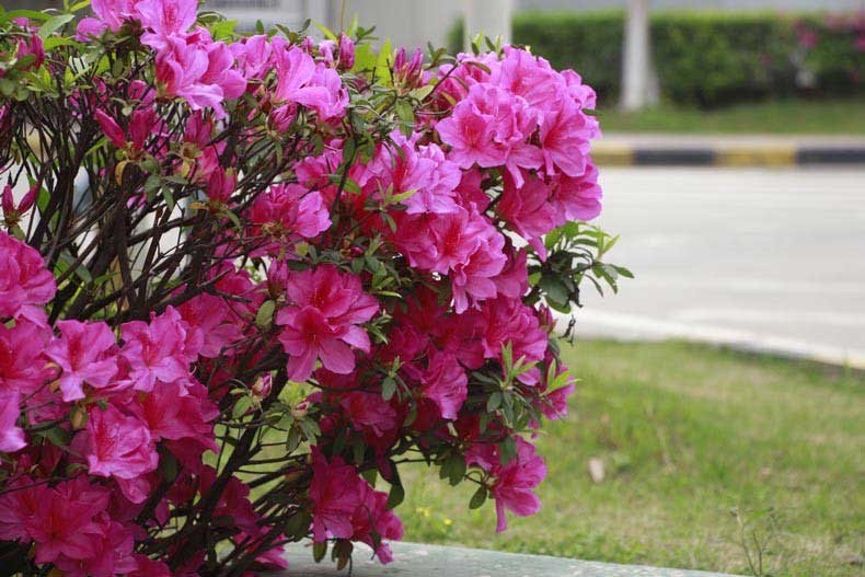 恒溫恒濕試驗箱 恒溫恒濕試驗箱