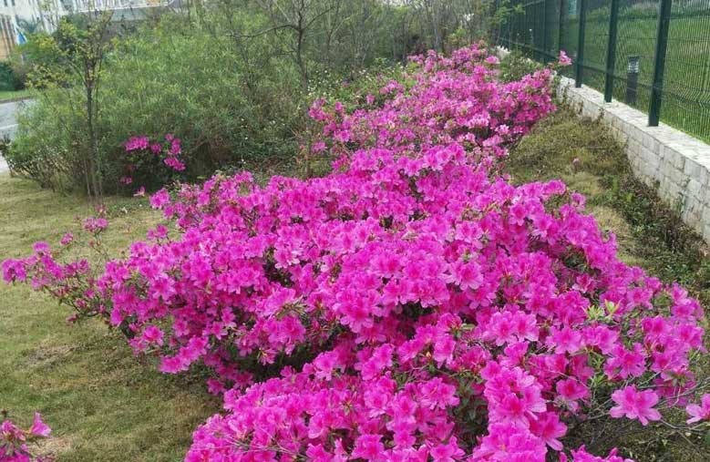 恒溫恒濕試驗箱 恒溫恒濕試驗箱